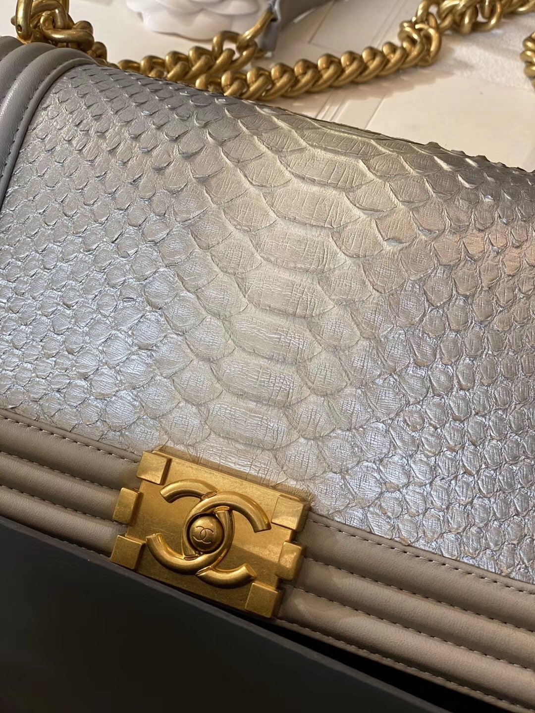  Replica Boy Chanel Bag South African Python Skin with Imported Sheepskin 010