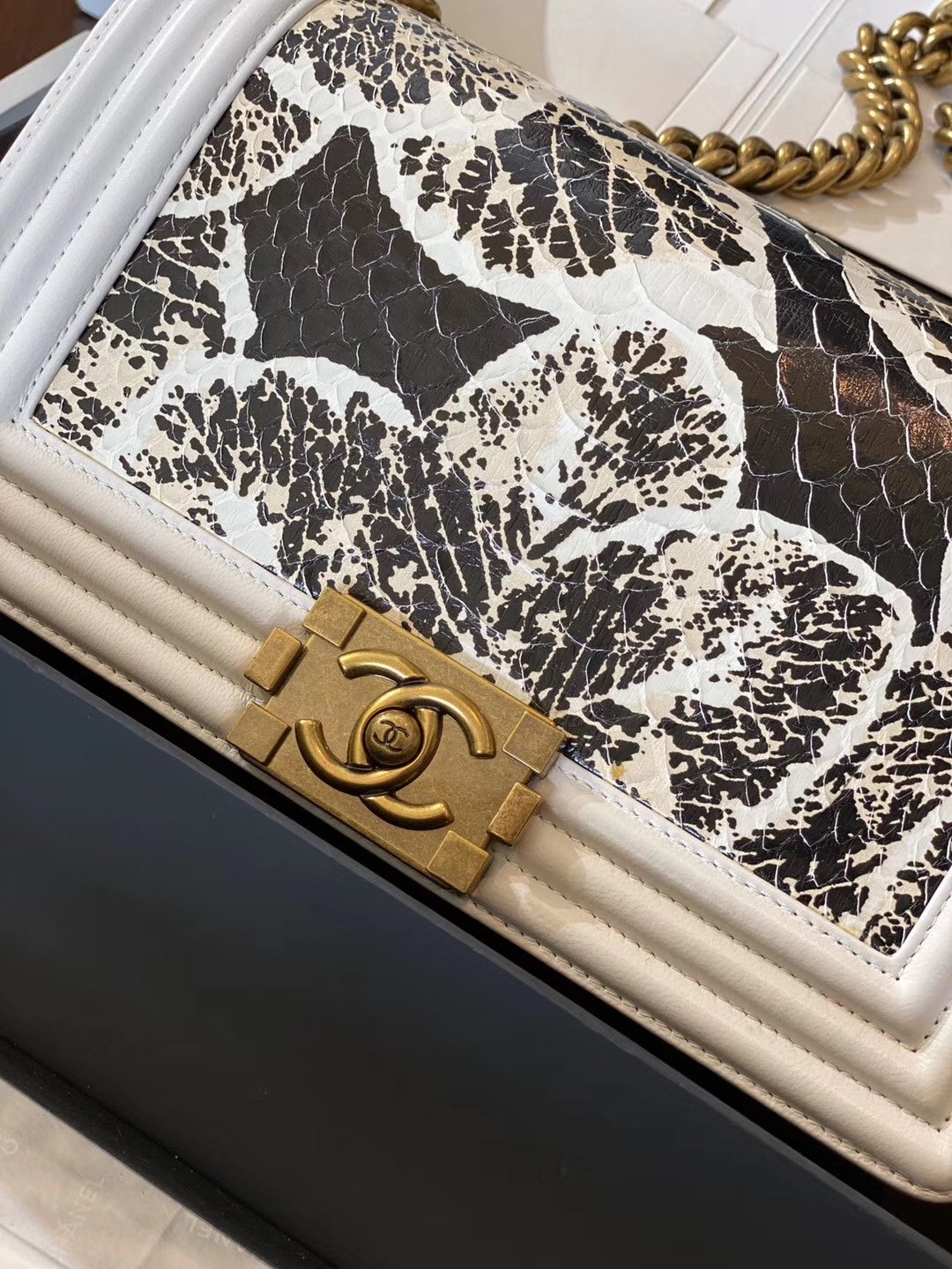  Replica Boy Chanel Bag South African Python Skin with Imported Sheepskin 016