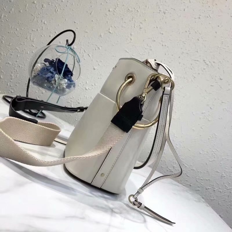 mini roy bucket bag