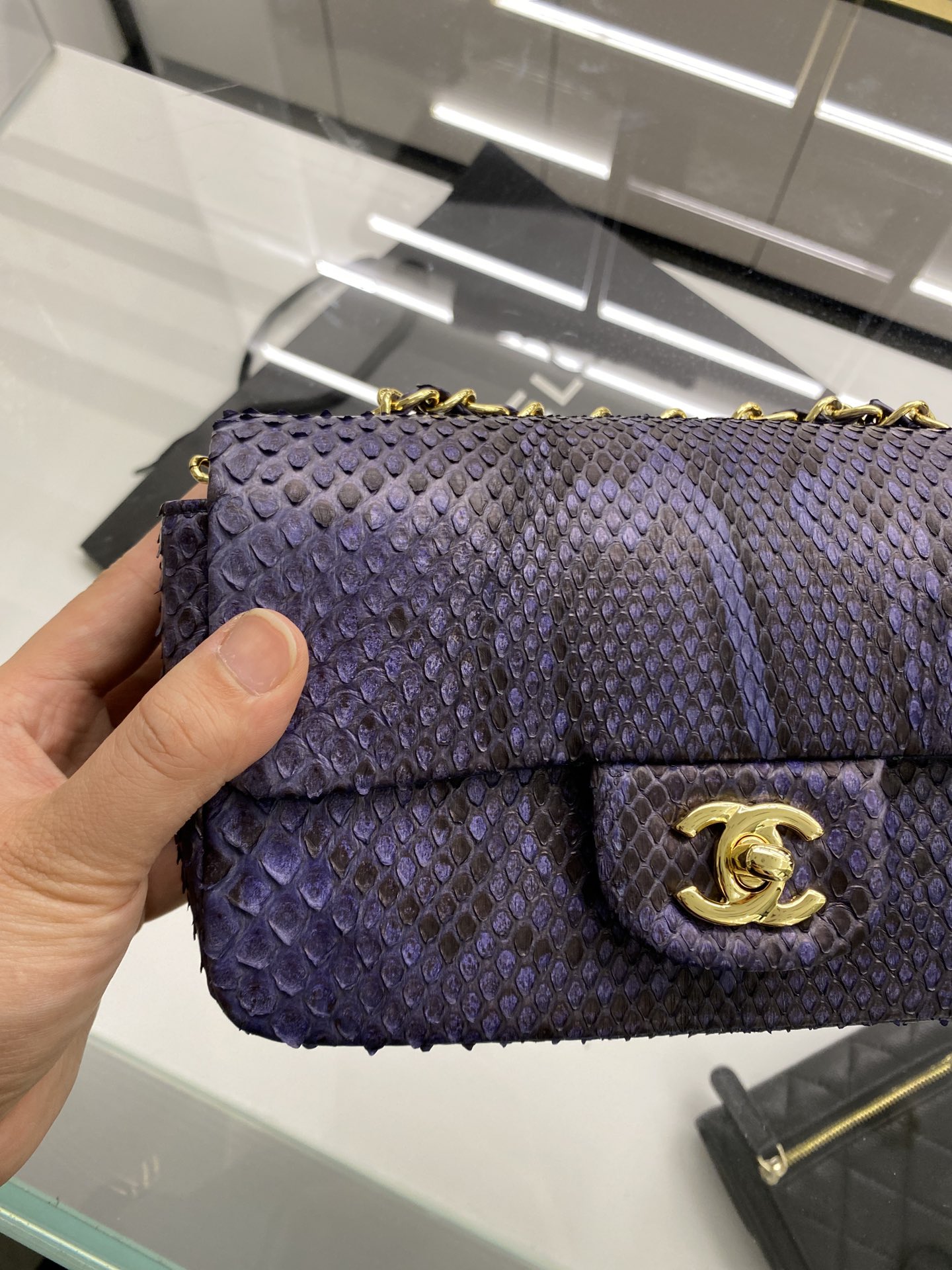 2022 New Python Chanel Classics Falp Shoulder Bag 20cm and 25cm-004