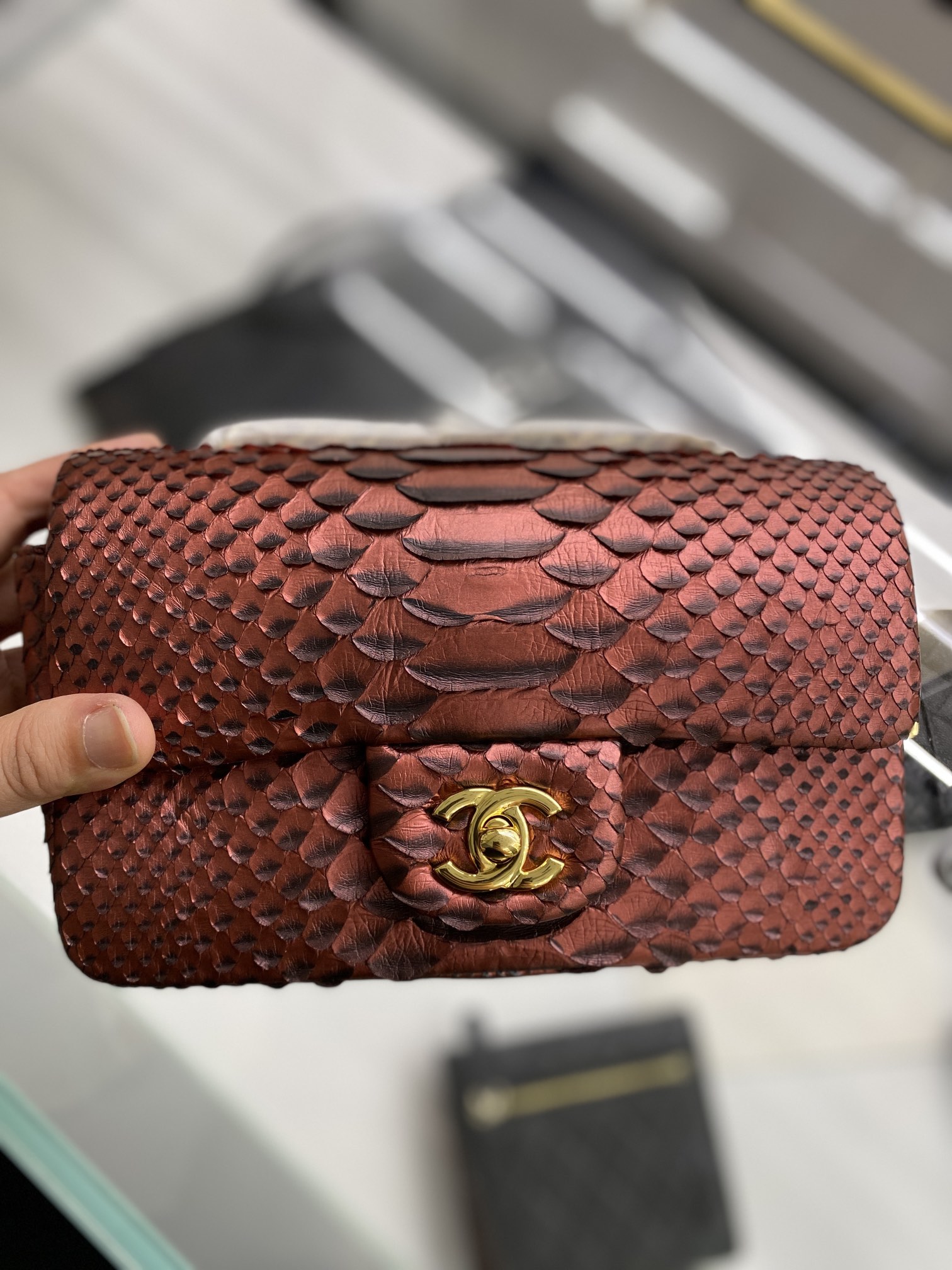 2022 New Python Chanel Classics Falp Shoulder Bag 20cm and 25cm-005