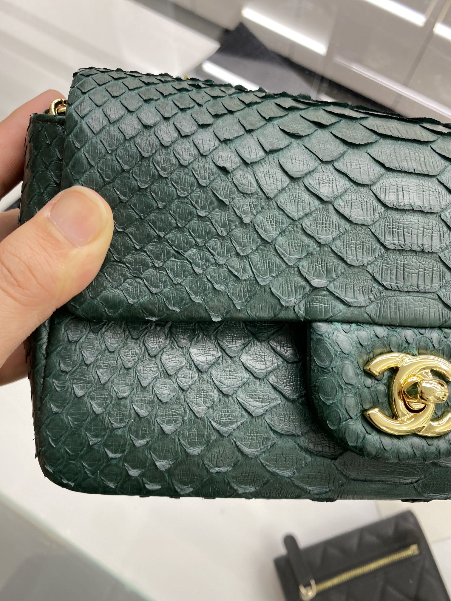 2022 New Python Chanel Classics Falp Shoulder Bag 20cm and 25cm-006