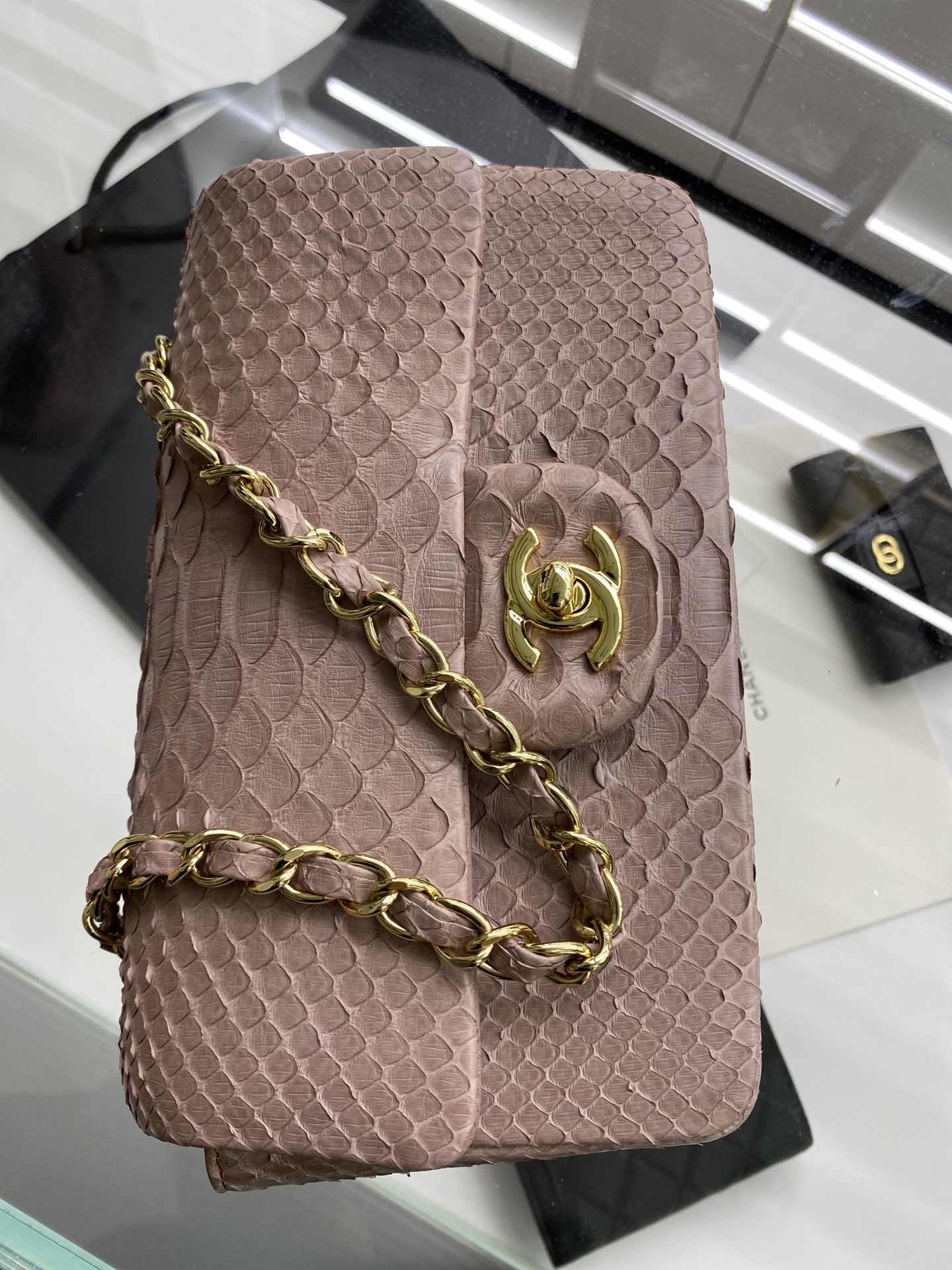 2022 New Python Chanel Classics Falp Shoulder Bag 20cm and 25cm-007