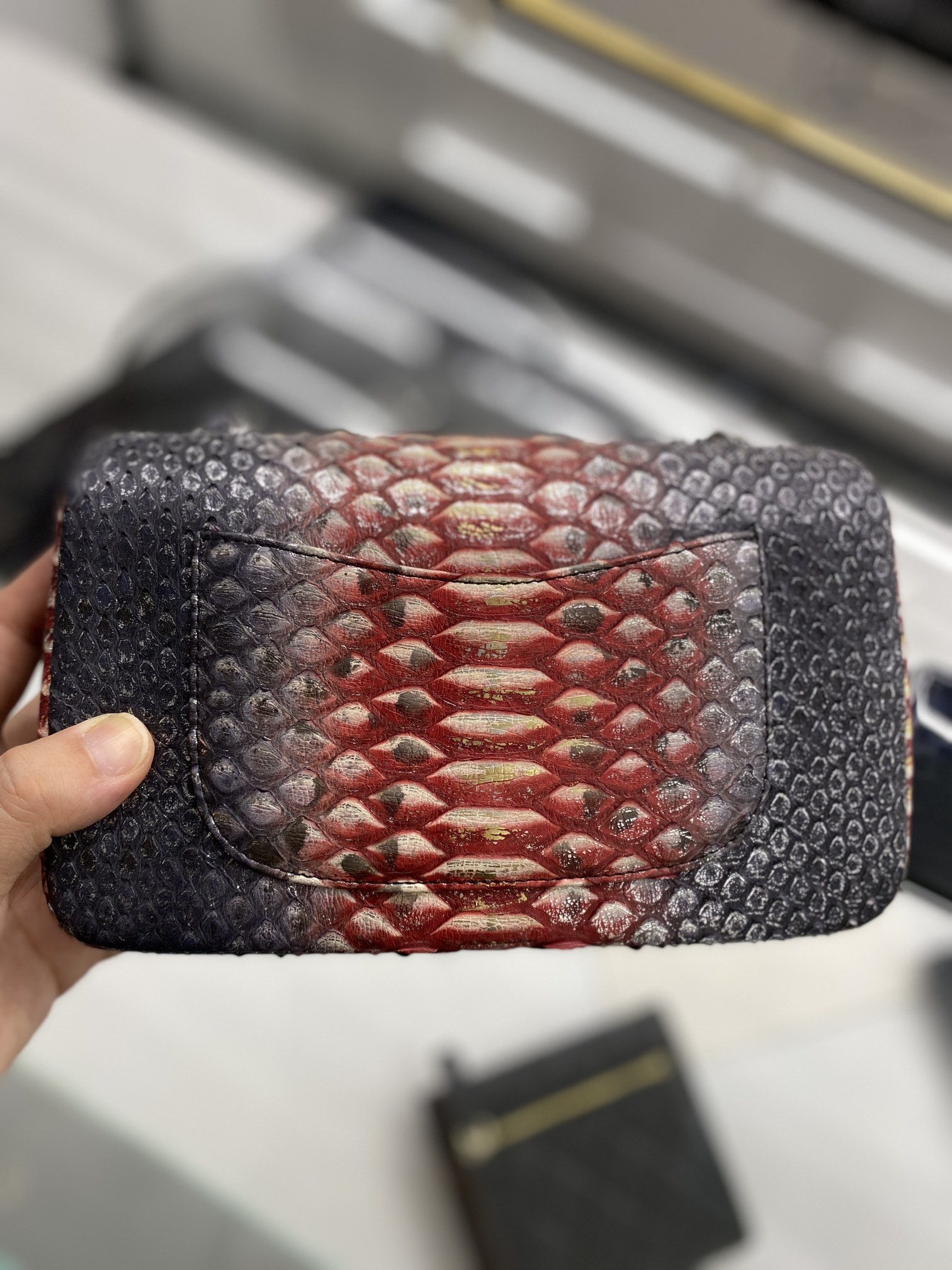 2022 New Python Chanel Classics Falp Shoulder Bag 20cm and 25cm-008