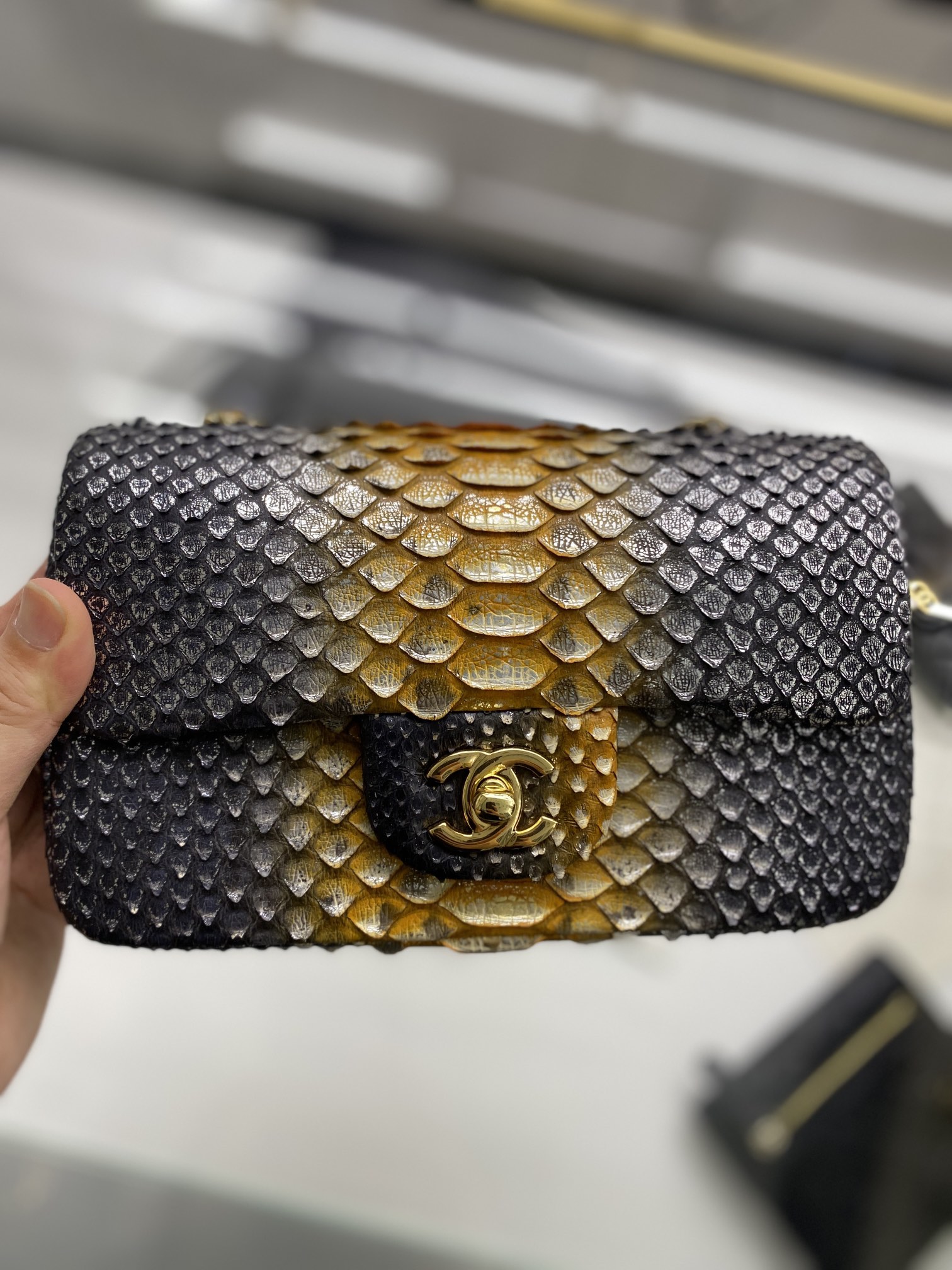 2022 New Python Chanel Classics Falp Shoulder Bag 20cm and 25cm-009