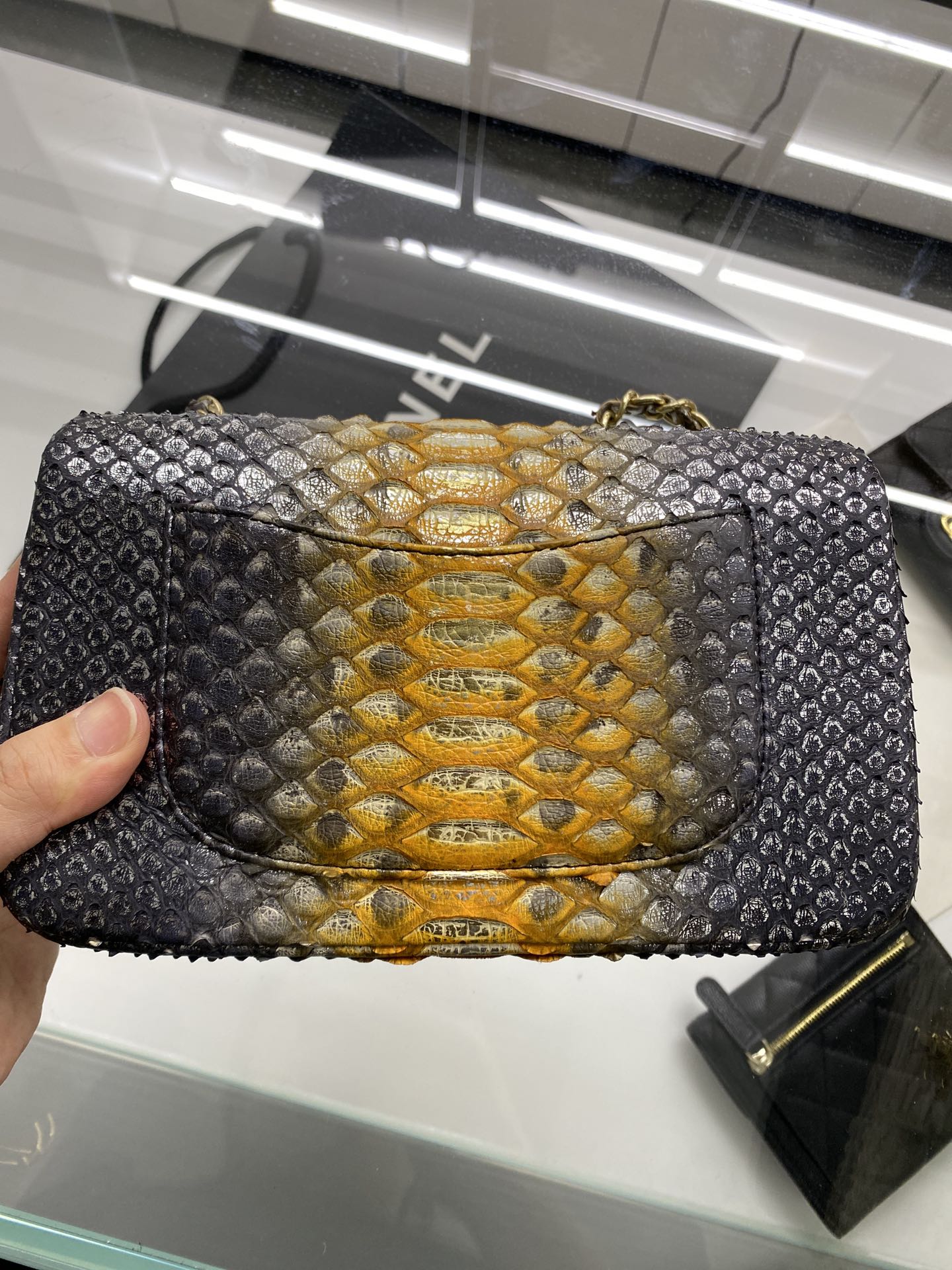 2022 New Python Chanel Classics Falp Shoulder Bag 20cm and 25cm-009