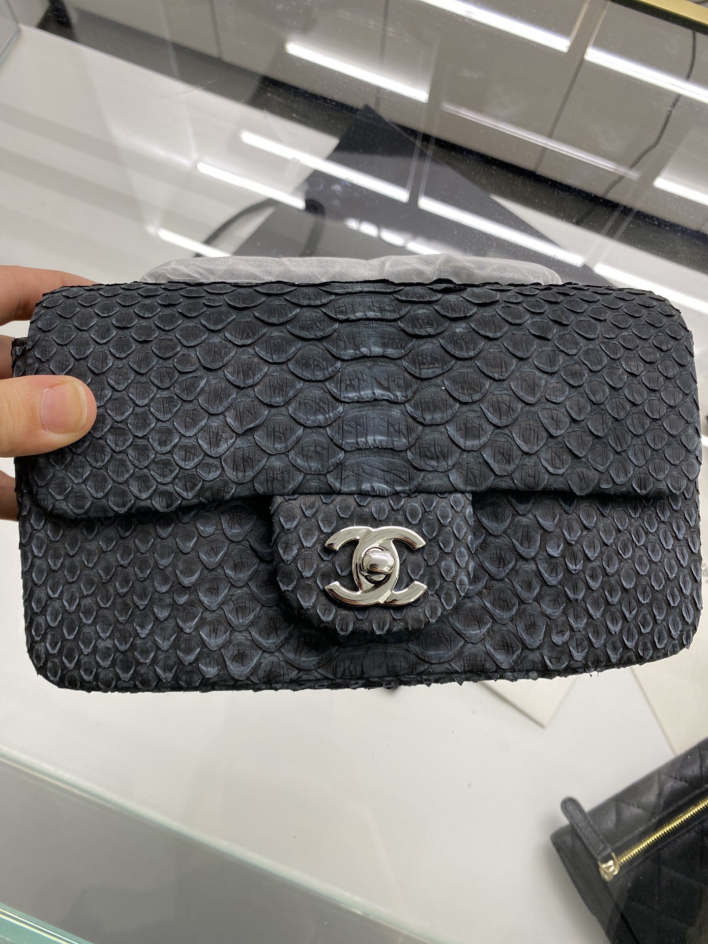 2022 New Python Chanel Classics Falp Shoulder Bag 20cm and 25cm-011