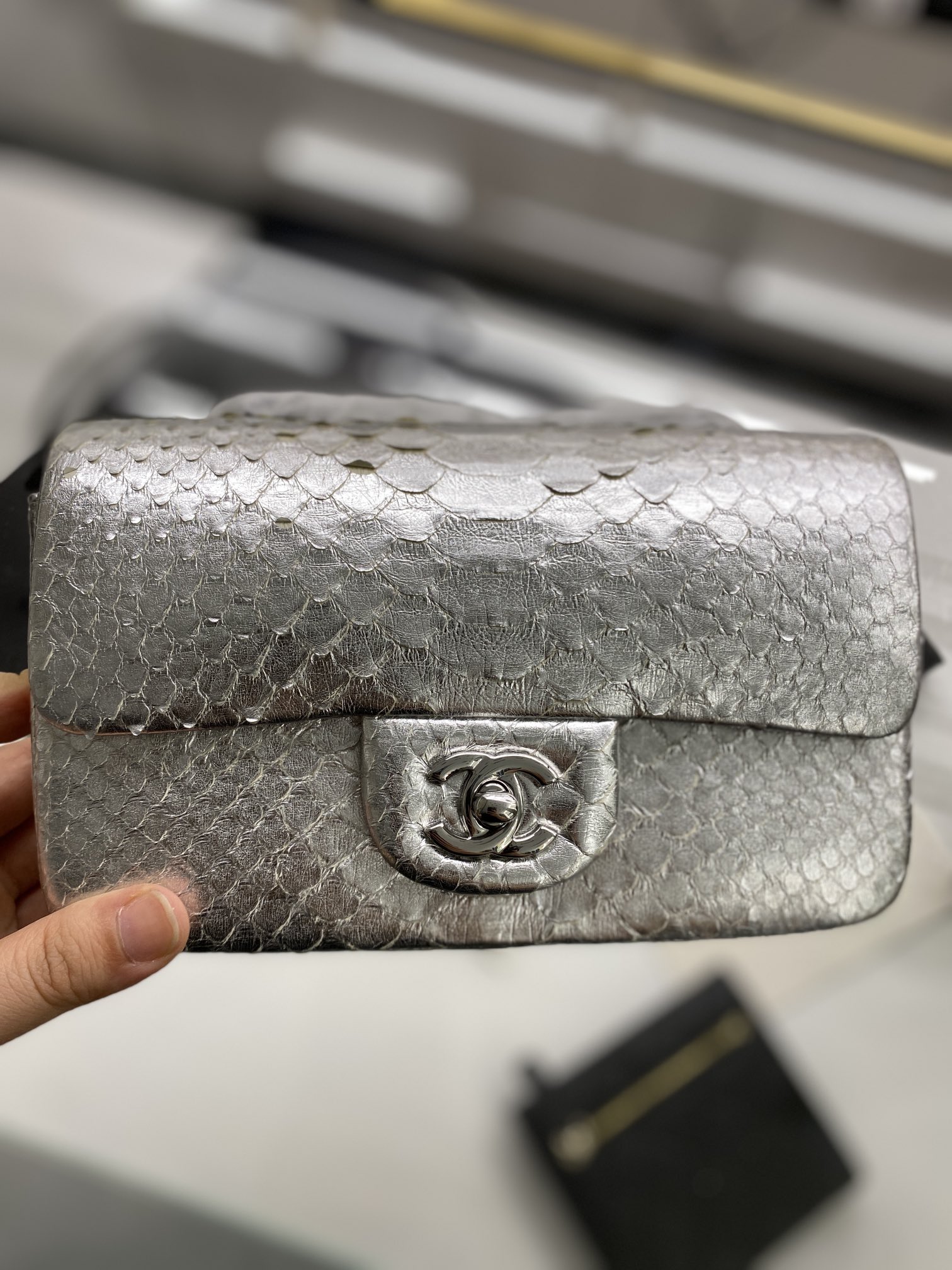 2022 New Python Chanel Classics Falp Shoulder Bag 20cm and 25cm-014