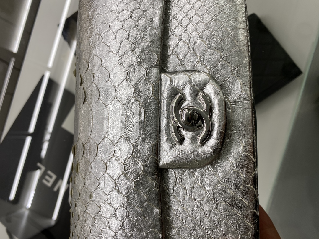 2022 New Python Chanel Classics Falp Shoulder Bag 20cm and 25cm-014