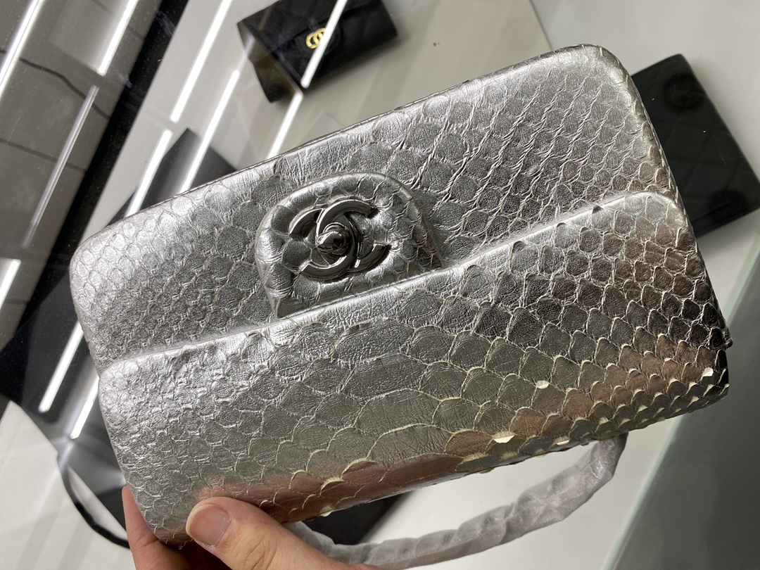 2022 New Python Chanel Classics Falp Shoulder Bag 20cm and 25cm-014