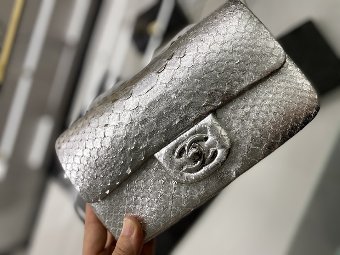 2022 New Python Chanel Classics Falp Shoulder Bag 20cm and 25cm-014