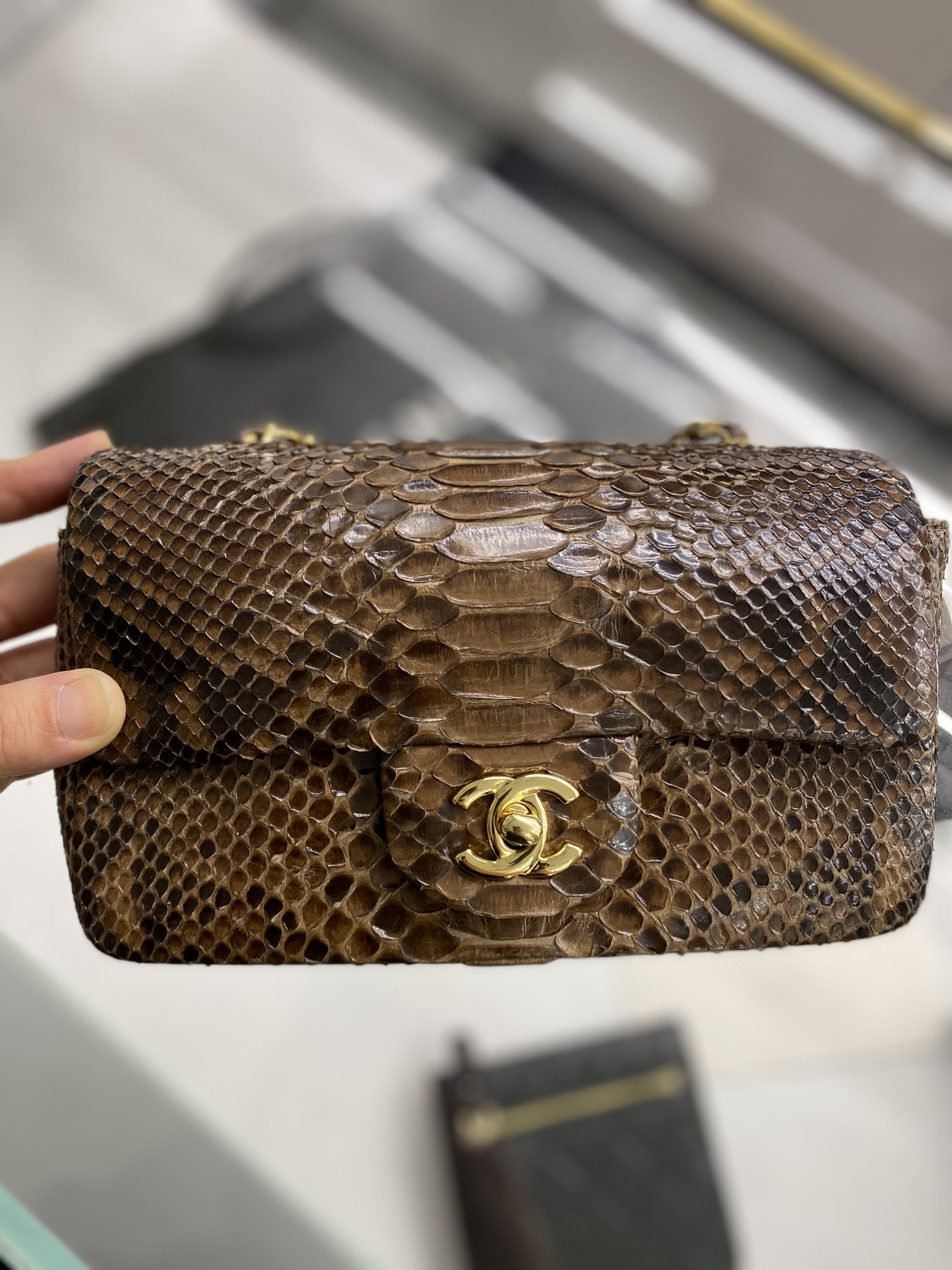 2022 New Python Chanel Classics Falp Shoulder Bag 20cm and 25cm-015