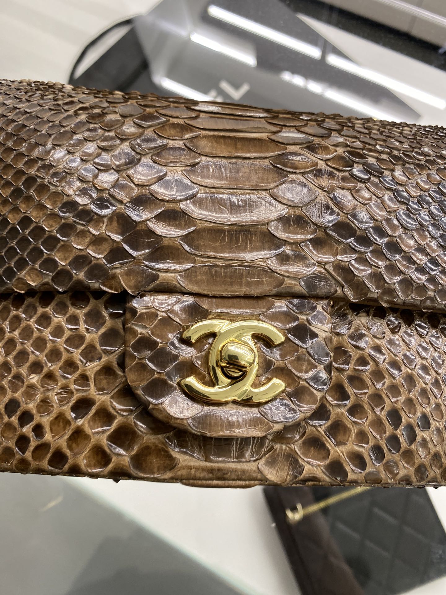 2022 New Python Chanel Classics Falp Shoulder Bag 20cm and 25cm-015