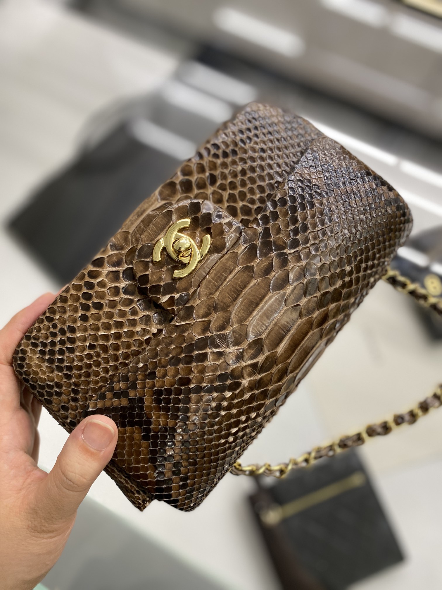 2022 New Python Chanel Classics Falp Shoulder Bag 20cm and 25cm-015