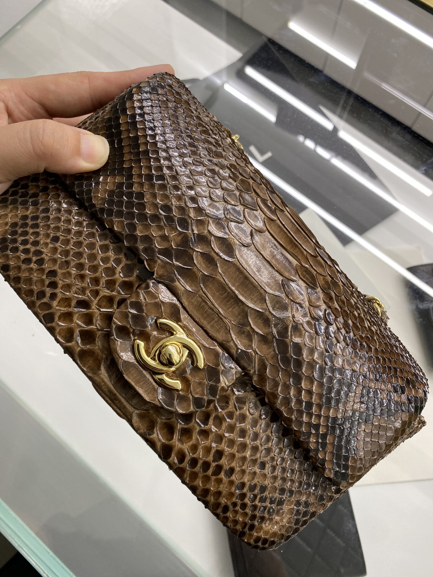 2022 New Python Chanel Classics Falp Shoulder Bag 20cm and 25cm-015