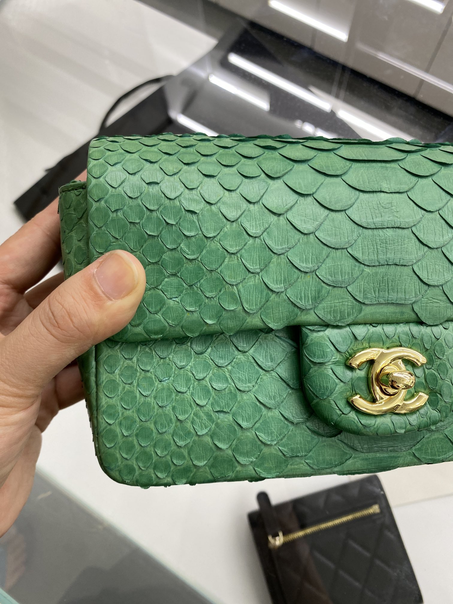 2022 New Python Chanel Classics Falp Shoulder Bag 20cm and 25cm-016