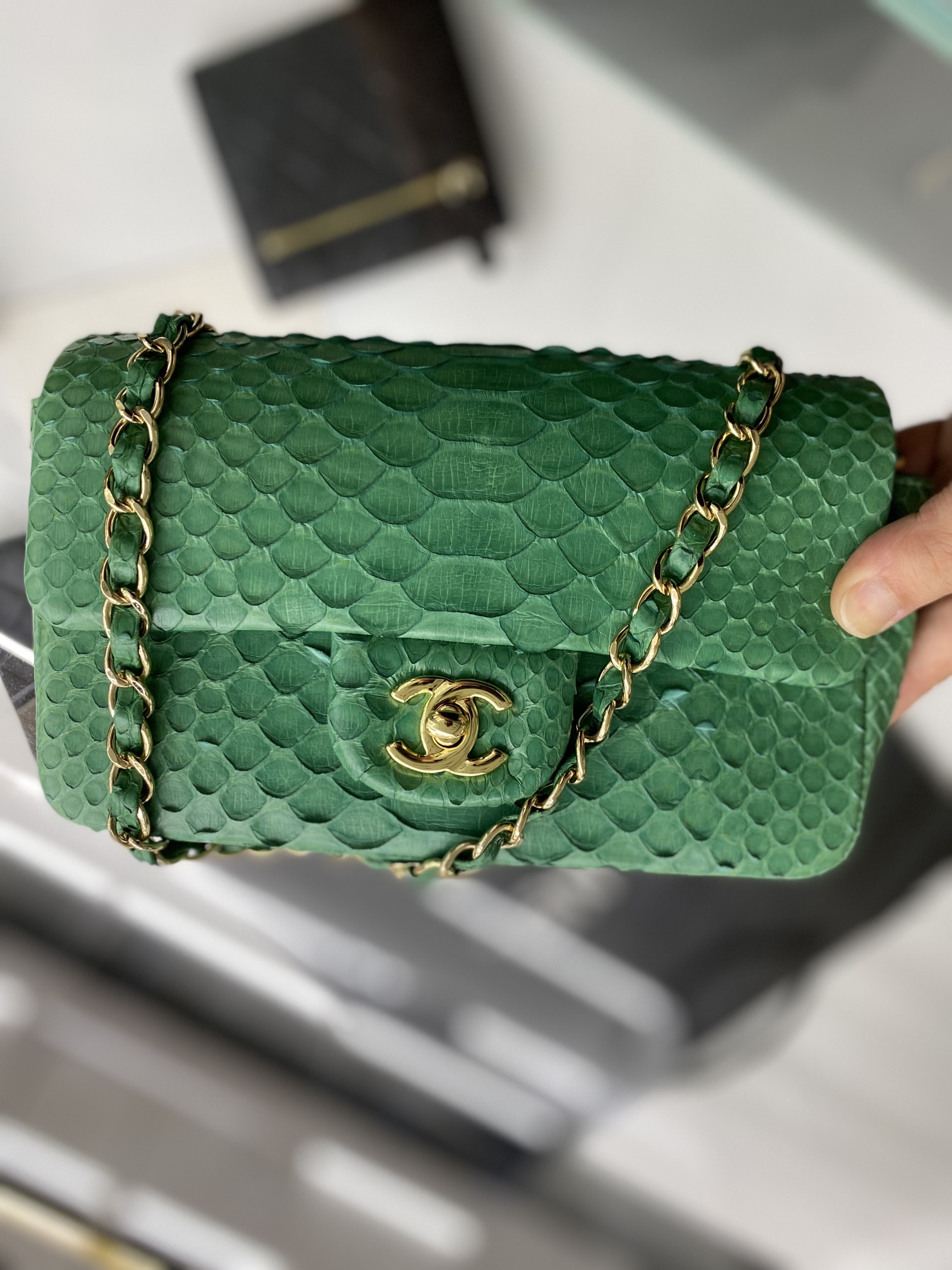 2022 New Python Chanel Classics Falp Shoulder Bag 20cm and 25cm-016