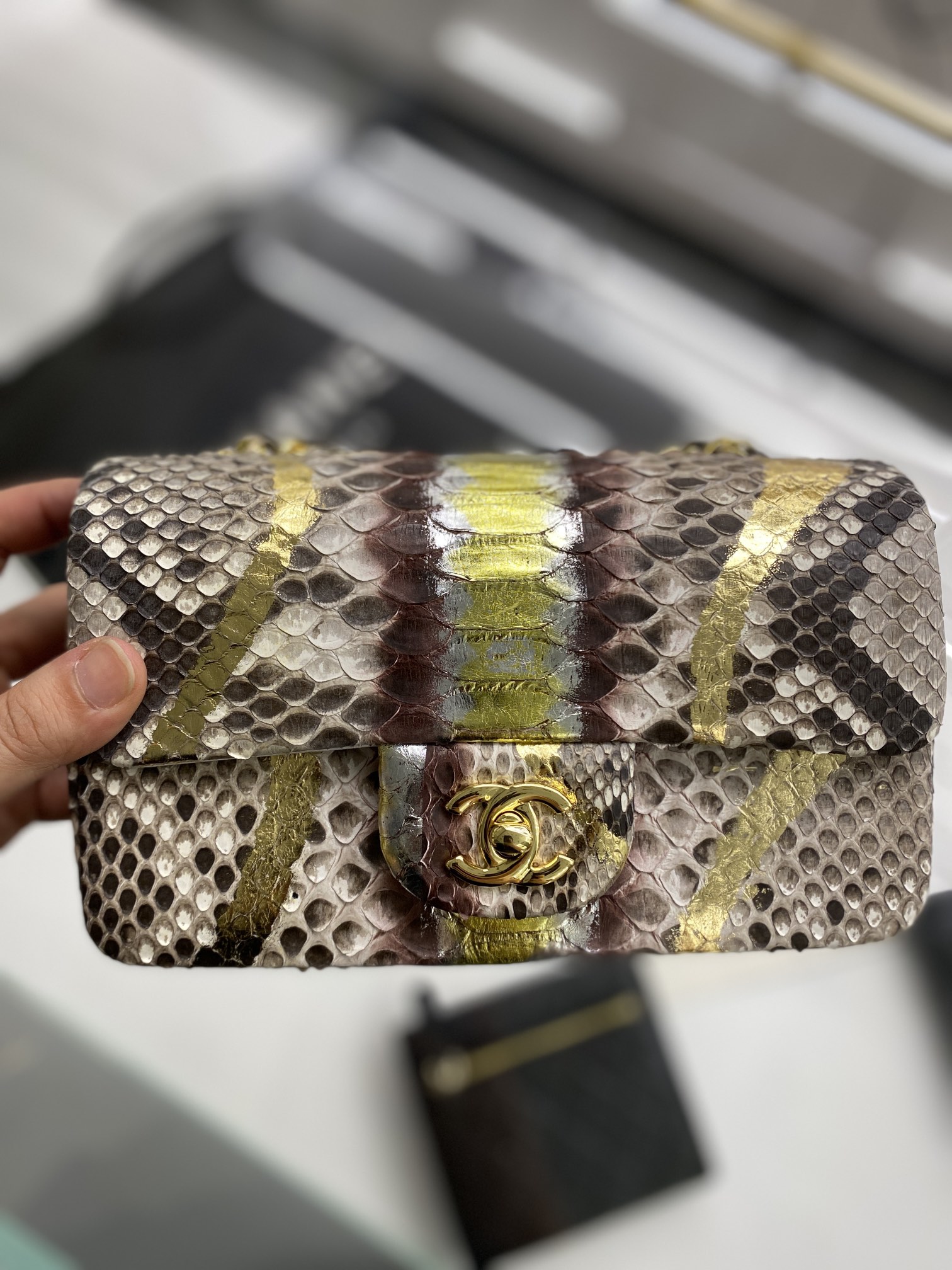 2022 New Python Chanel Classics Falp Shoulder Bag 20cm and 25cm-018