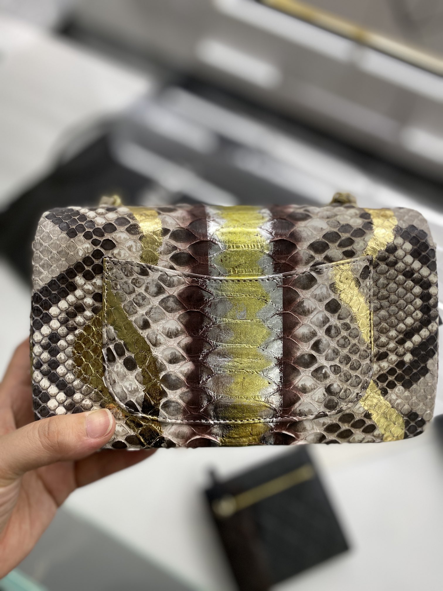 2022 New Python Chanel Classics Falp Shoulder Bag 20cm and 25cm-018