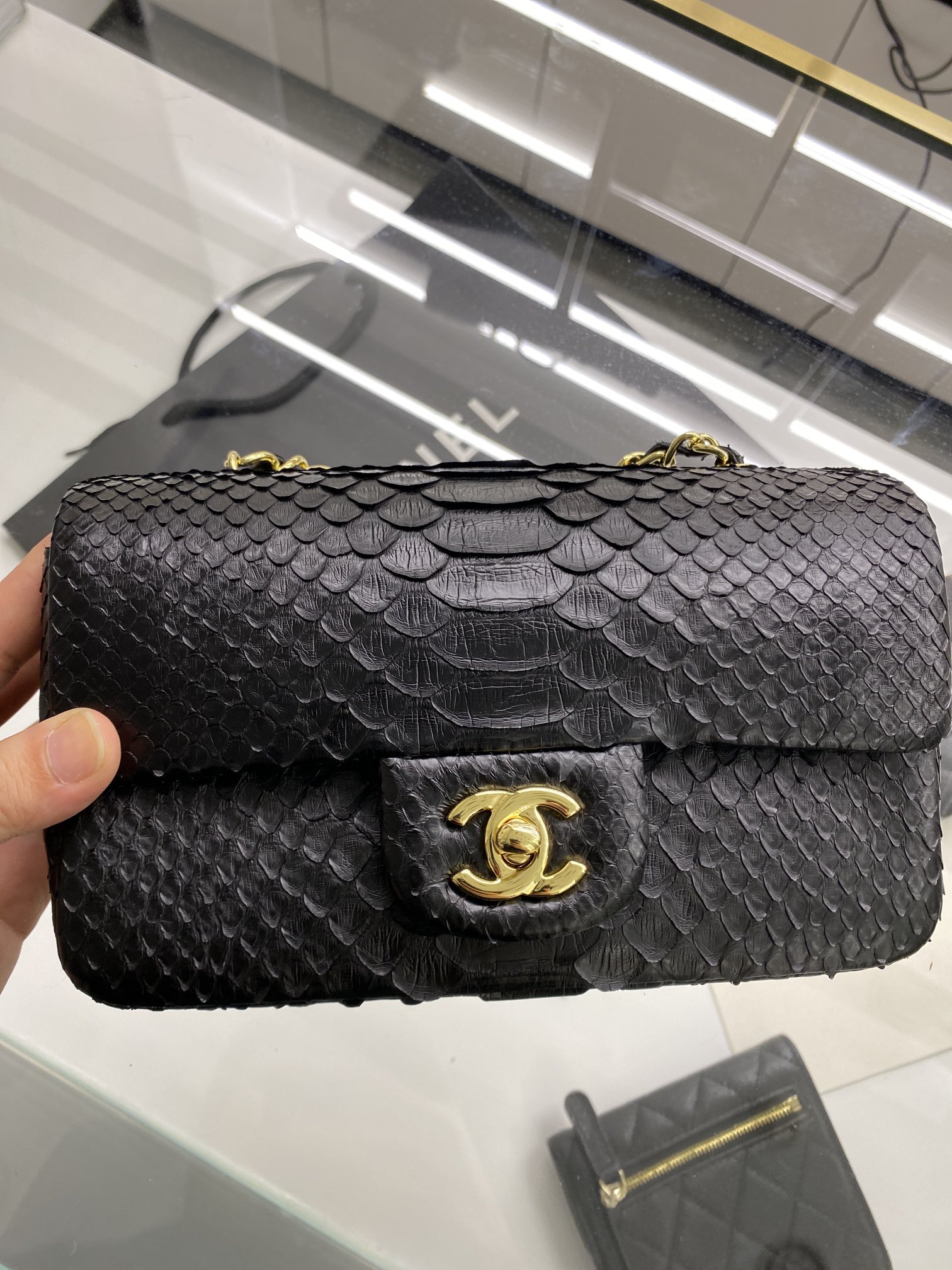 2022 New Python Chanel Classics Falp Shoulder Bag 20cm and 25cm-020