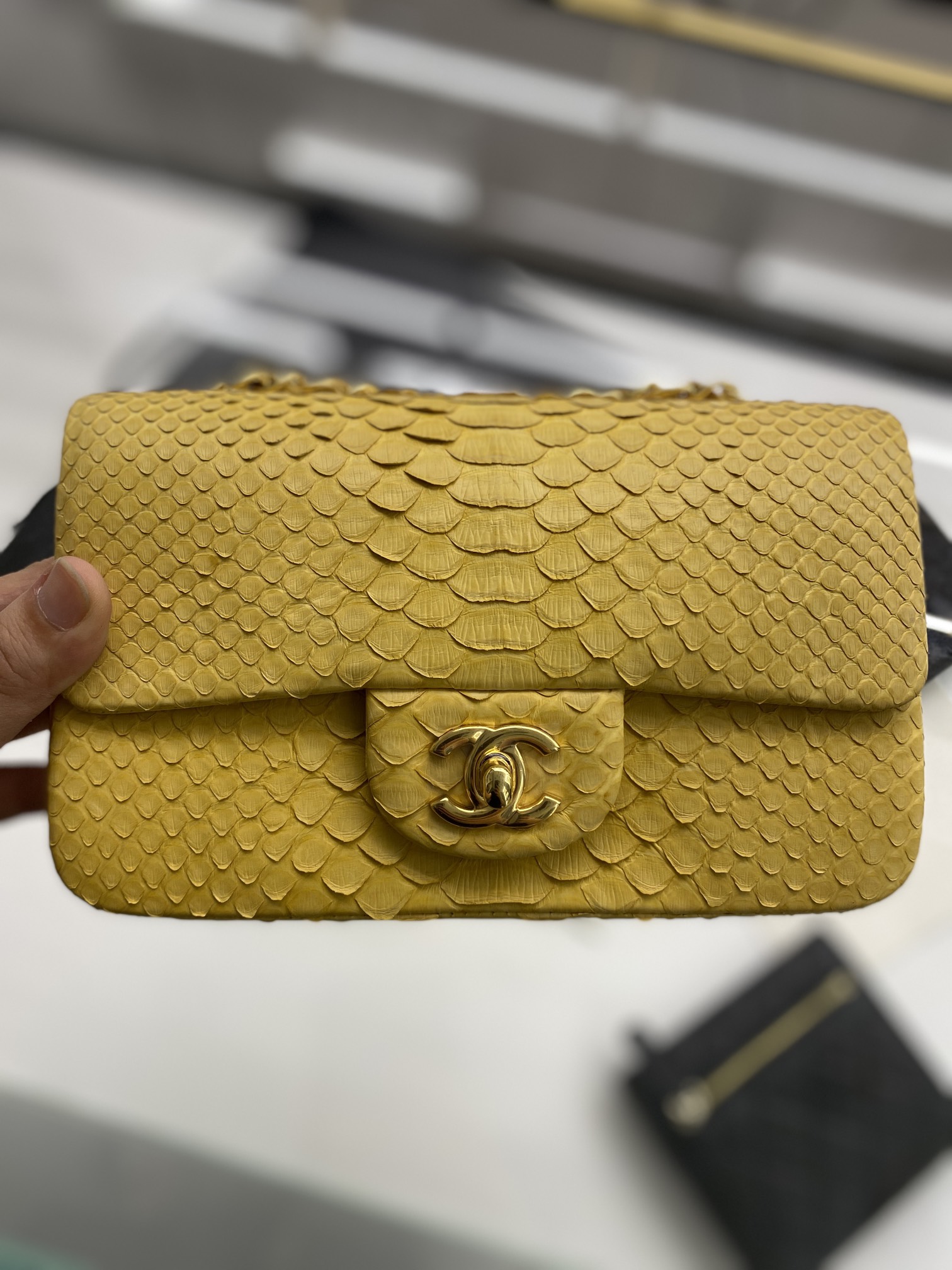 2022 New Python Chanel Classics Falp Shoulder Bag 20cm and 25cm-021