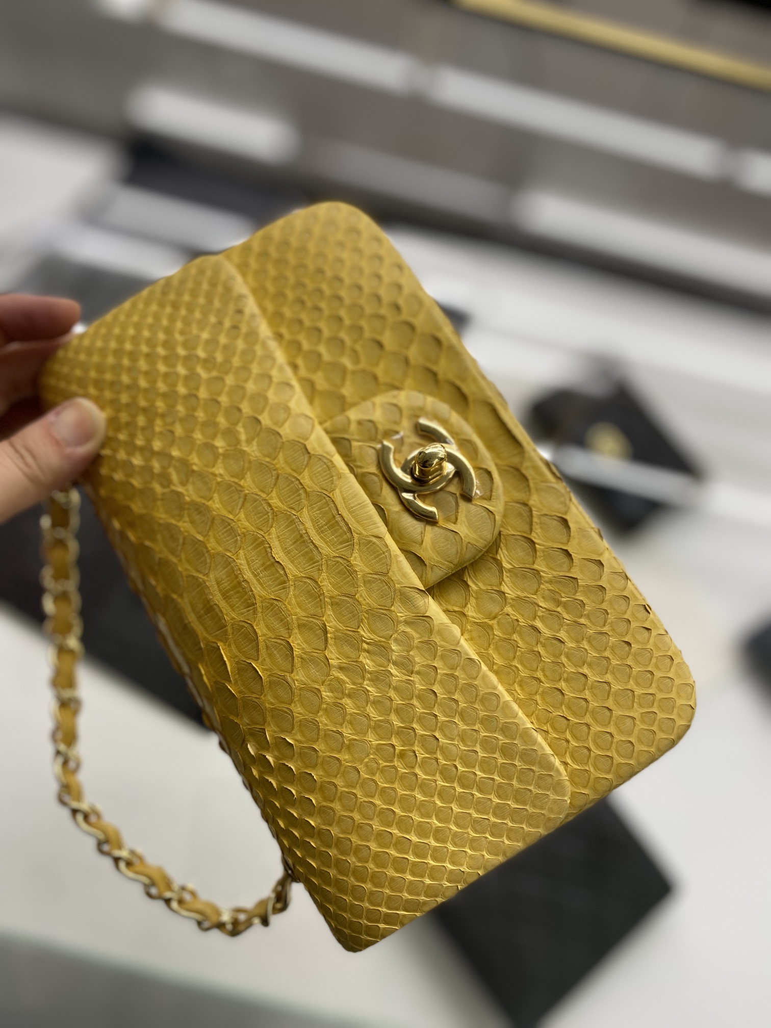 2022 New Python Chanel Classics Falp Shoulder Bag 20cm and 25cm-021