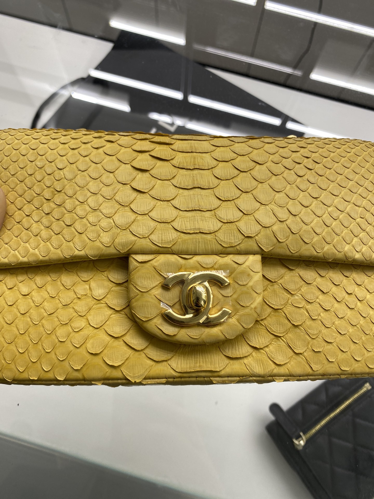 2022 New Python Chanel Classics Falp Shoulder Bag 20cm and 25cm-021