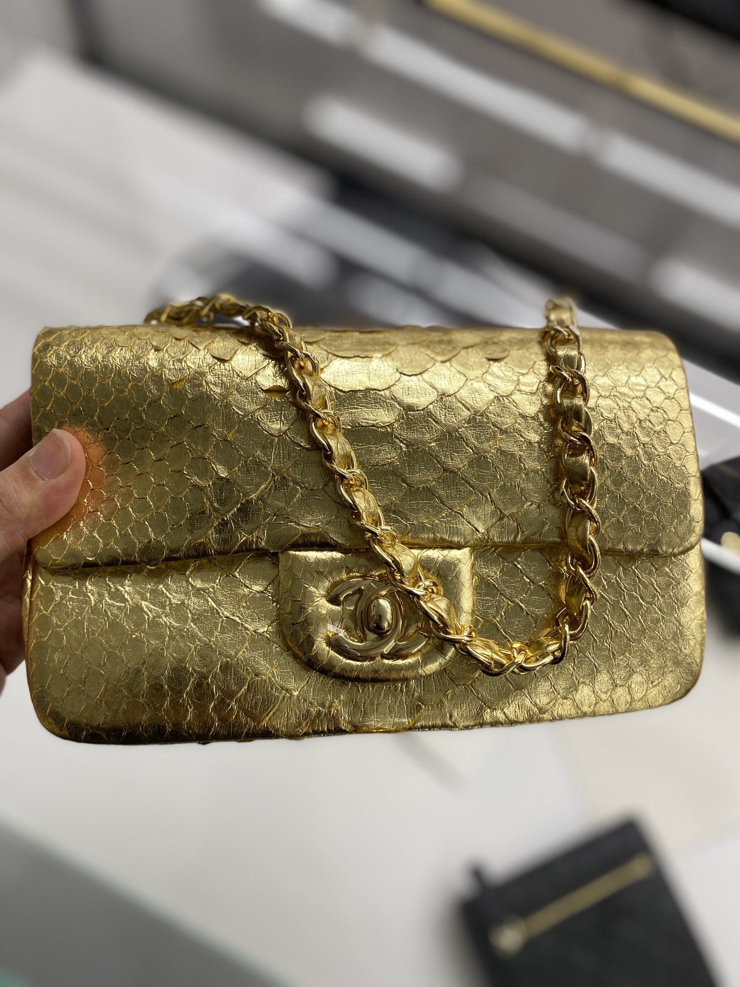 2022 New Python Chanel Classics Falp Shoulder Bag 20cm and 25cm-022