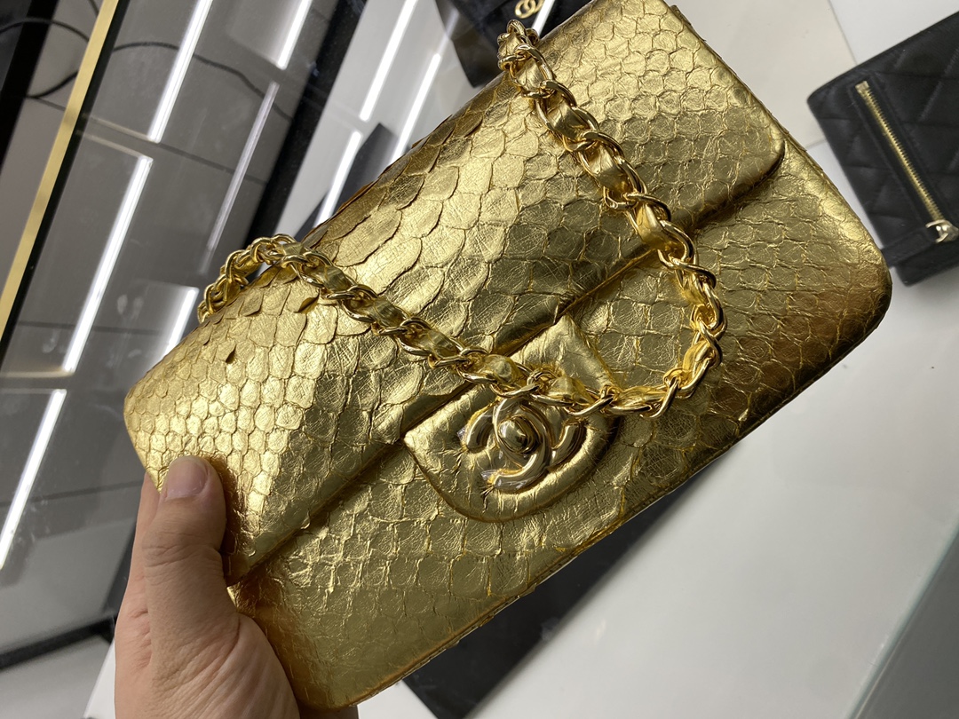 2022 New Python Chanel Classics Falp Shoulder Bag 20cm and 25cm-022