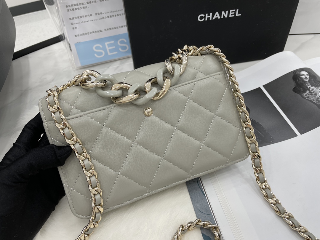 2022 New Style Chanel Wallet On Chain Lambskin Plexi Gold-Tone Metal Gray AP2377 For Girls Online 