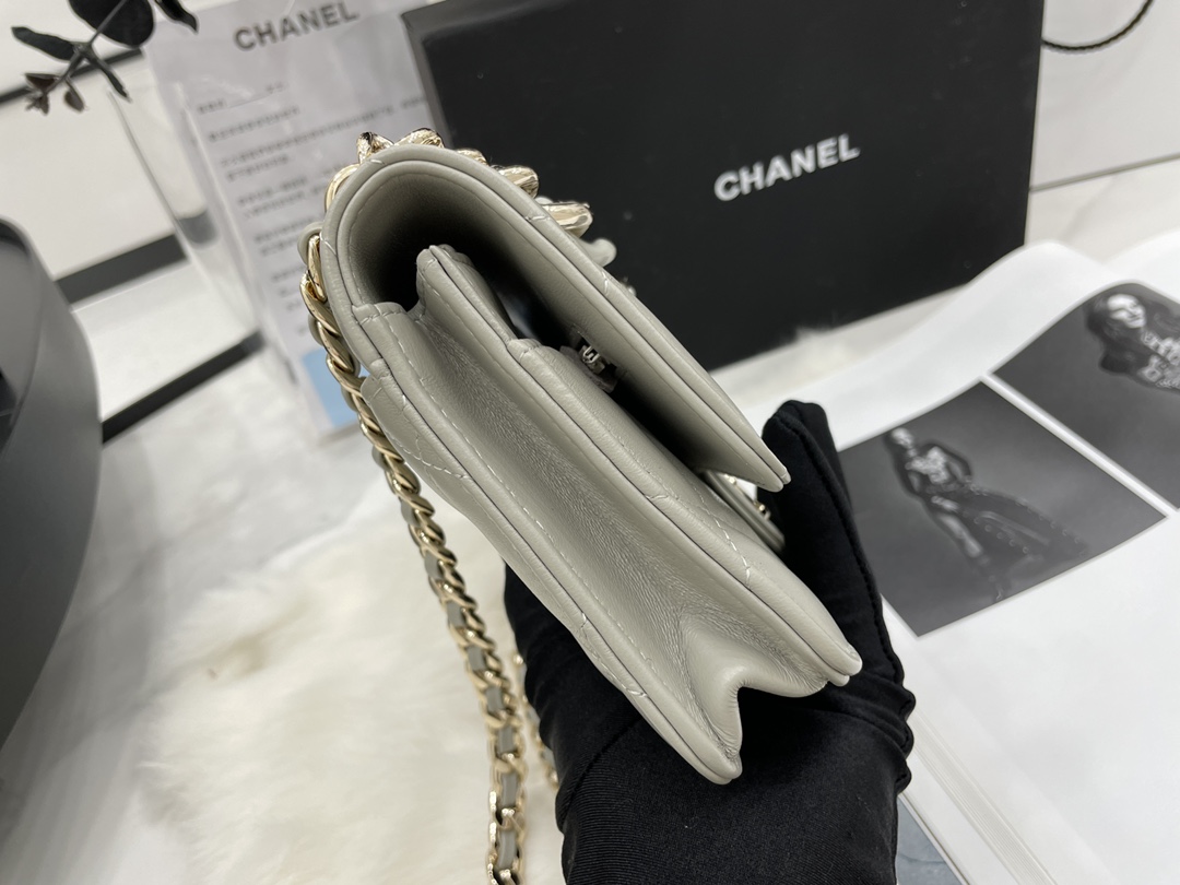 2022 New Style Chanel Wallet On Chain Lambskin Plexi Gold-Tone Metal Gray AP2377 For Girls Online 