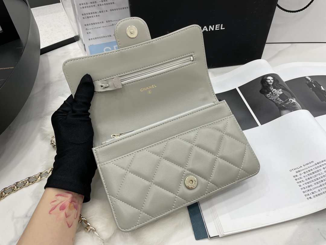 2022 New Style Chanel Wallet On Chain Lambskin Plexi Gold-Tone Metal Gray AP2377 For Girls Online 