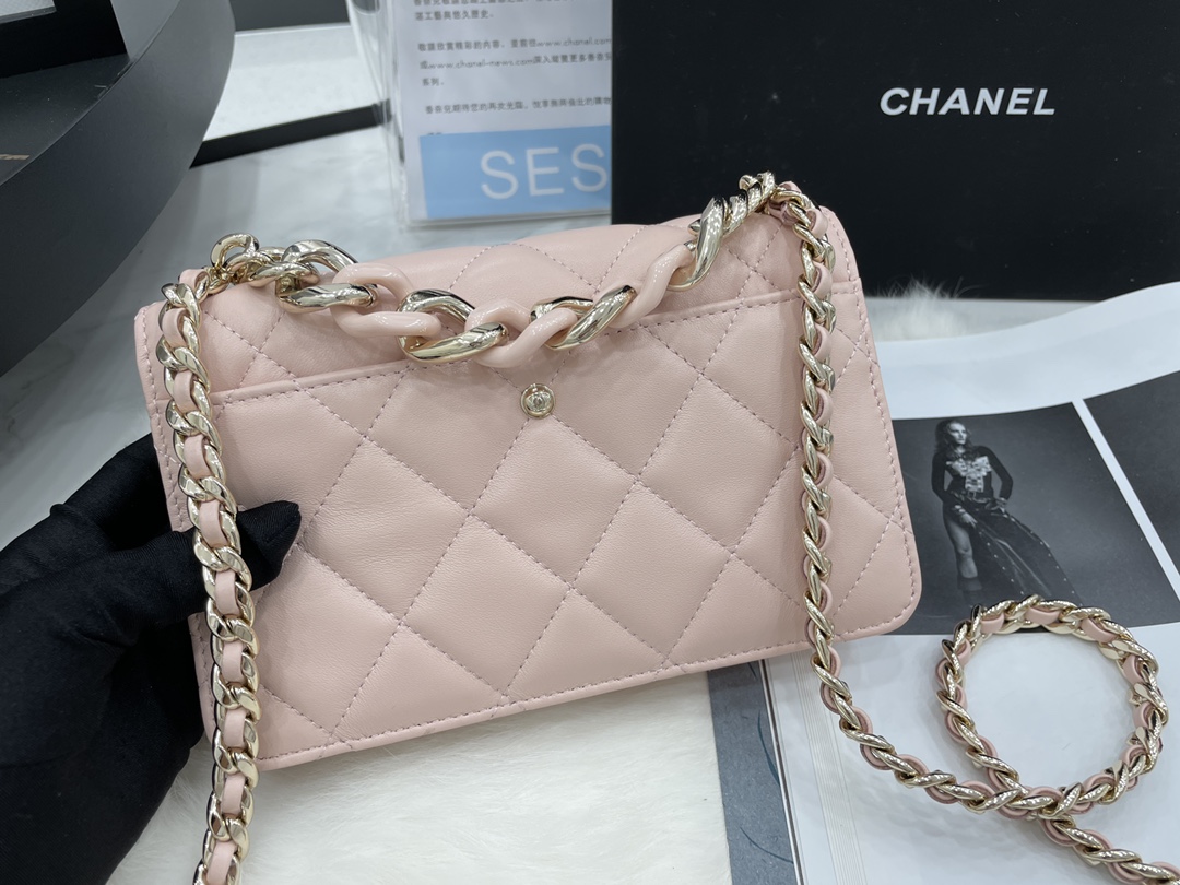 2022 New Style Chanel Wallet On Chain Lambskin Plexi Gold-Tone Metal Pink AP2377 For Girls Online 