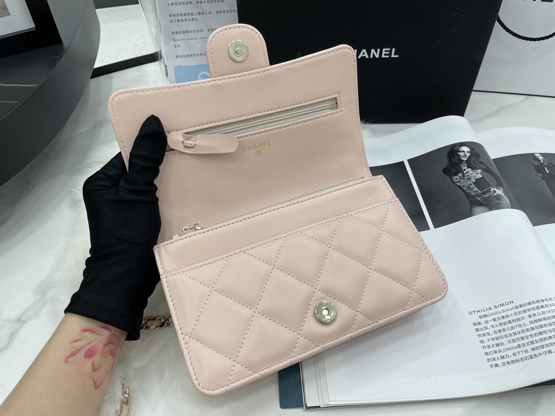 2022 New Style Chanel Wallet On Chain Lambskin Plexi Gold-Tone Metal Pink AP2377 For Girls Online 