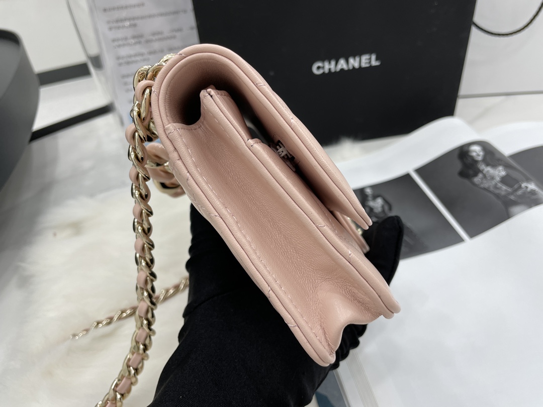 2022 New Style Chanel Wallet On Chain Lambskin Plexi Gold-Tone Metal Pink AP2377 For Girls Online 