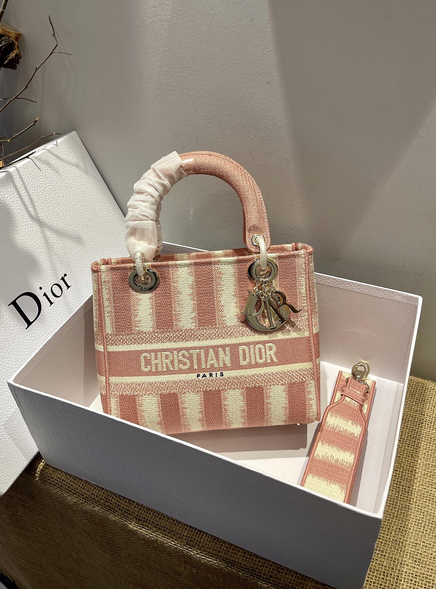 2023 Dior Lady D-lite 24cm Embroidery Bag-003