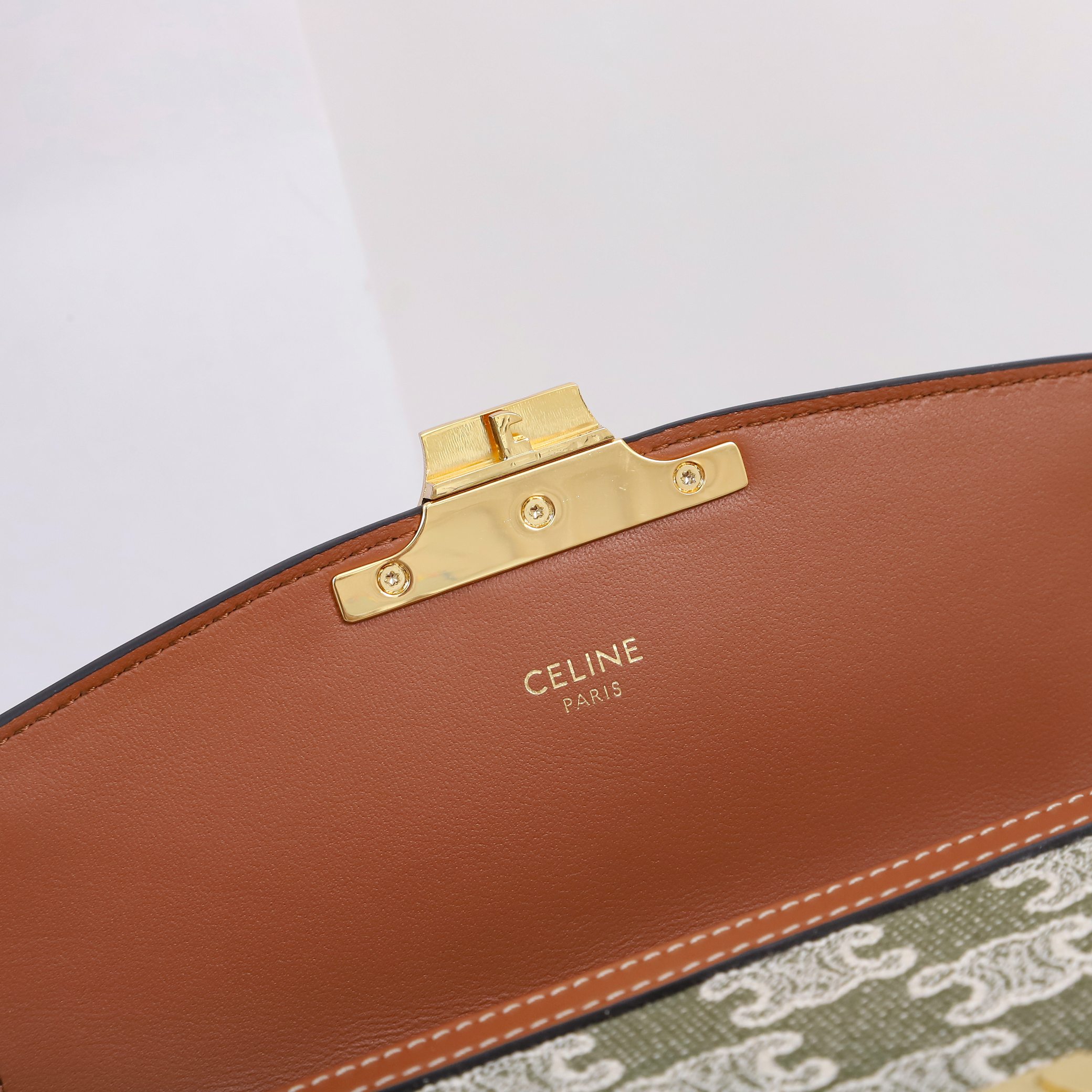 Celine Teen Triomphe Bag In Triomphe Canvas and Clafskin 18.5cm