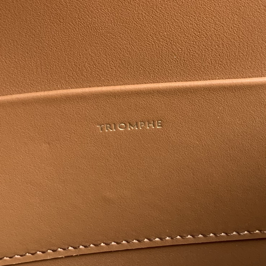 Celine Triomphe Box Top Handle Bag Real Leather