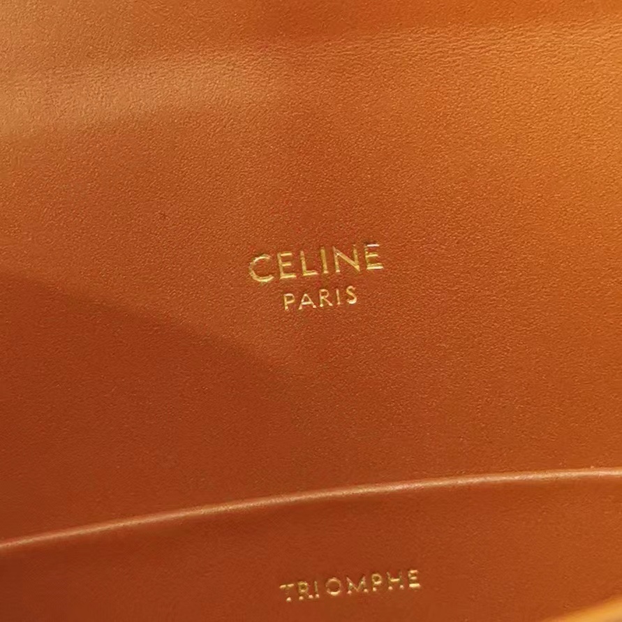 Celine Triomphe Box Top Handle Bag Triomphe Coated Canvas