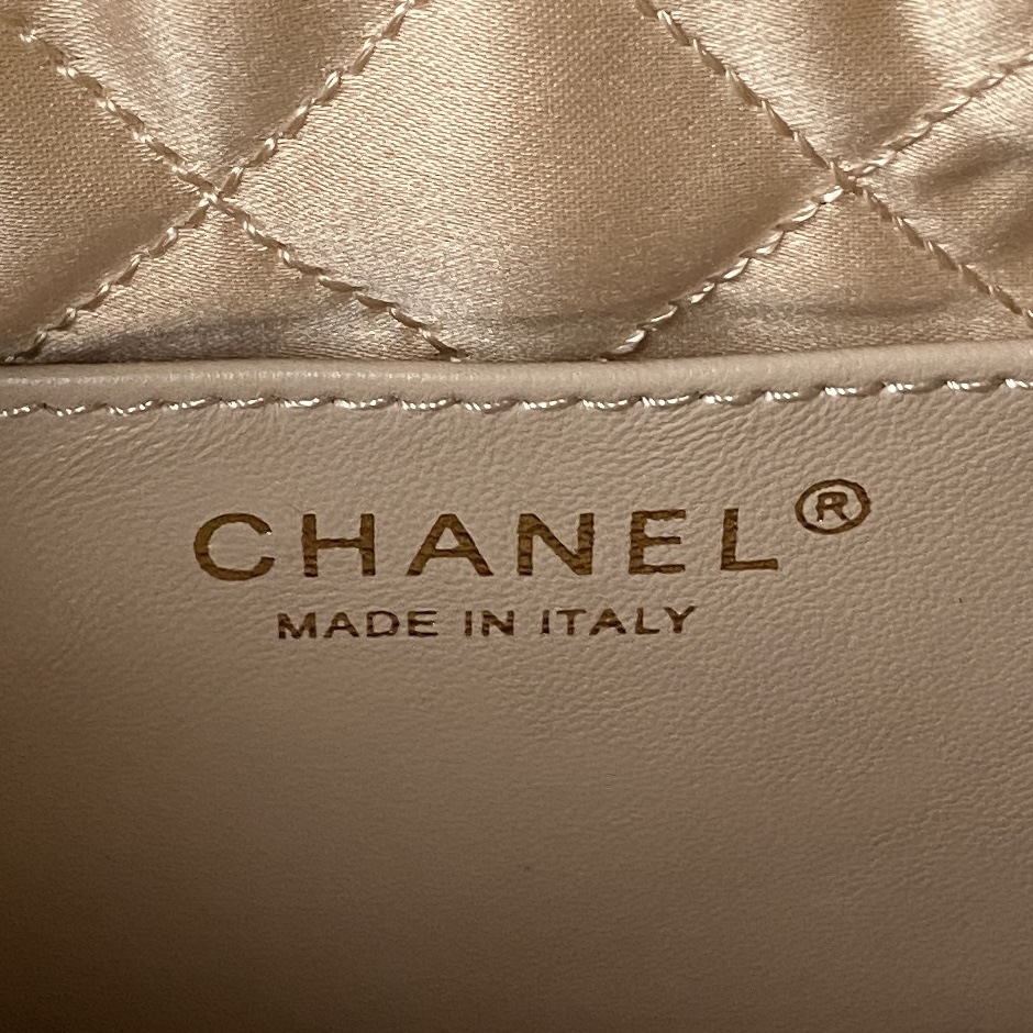 Chanel 22 Mini Handbag Shiny Calfskin Gold-Tone Metal White
