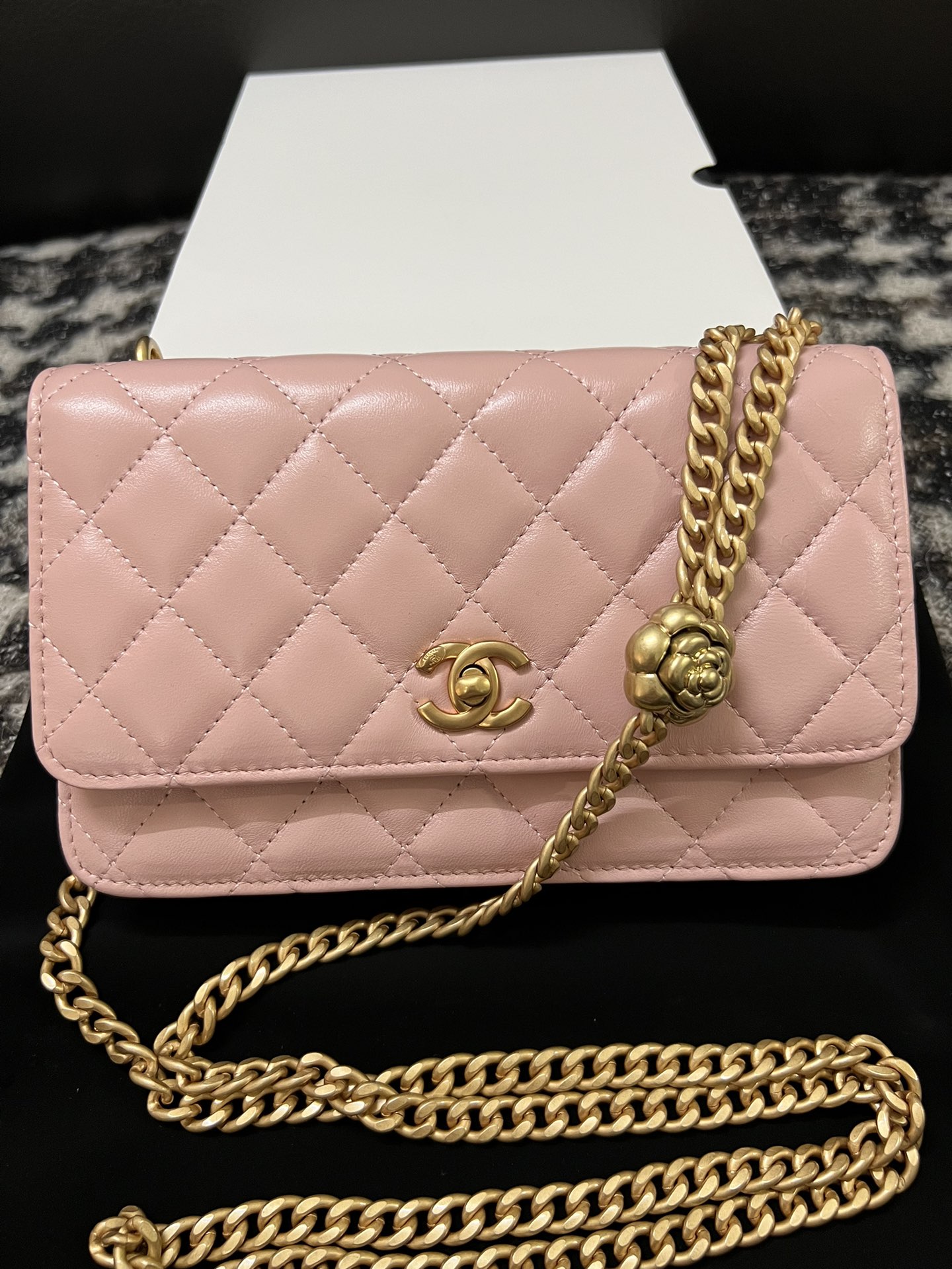 Chanel 23S Woc Wallet On Chain Pink With Adjustable Camellia Buckle