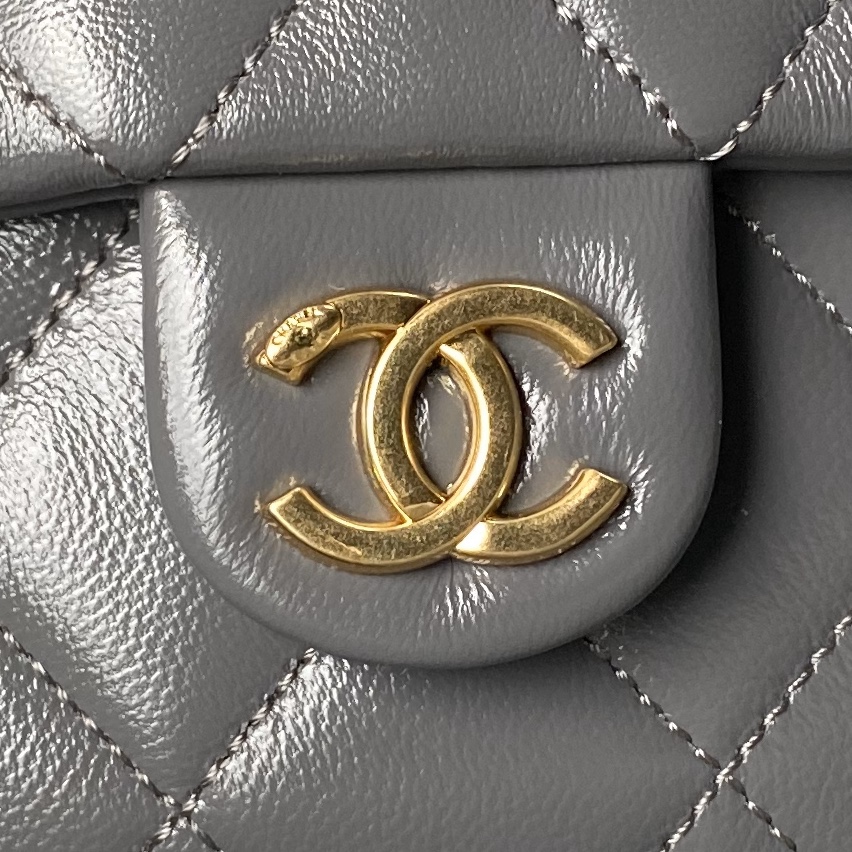 Chanel AS4993 Top Handle Messenger Gary