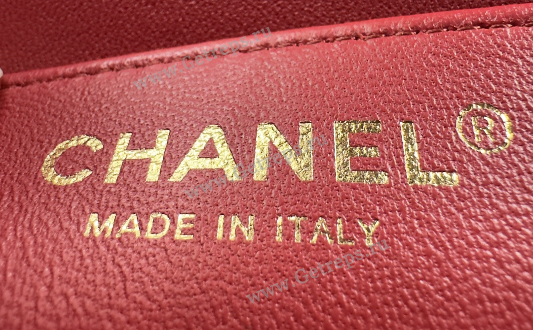 Chanel Classic Flap Bag with Camellia Adjustment Buckle 23.5cm