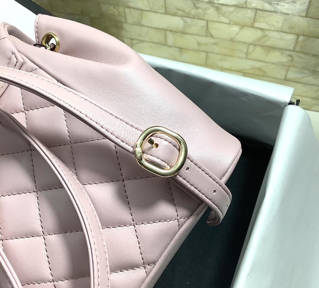 Chanel Duma Backpack Calfskin Pink