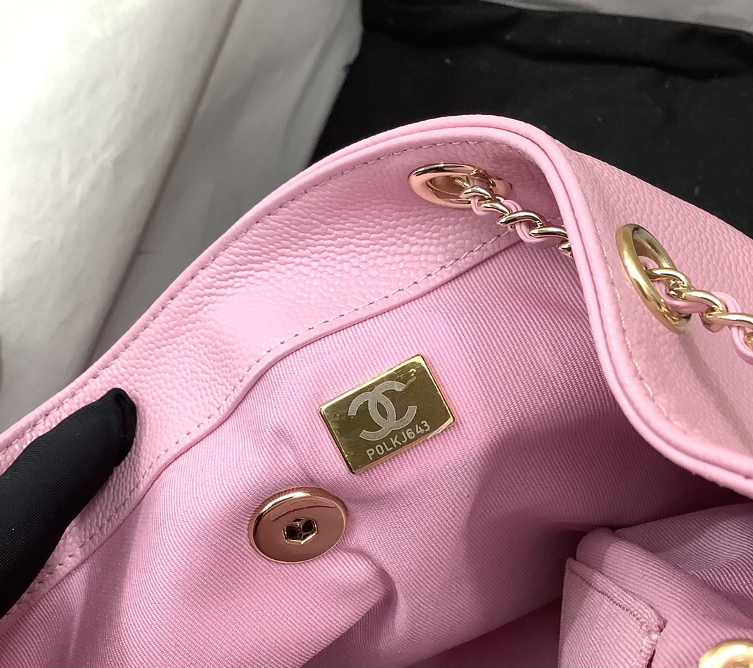 Chanel Duma Backpack Large Pink