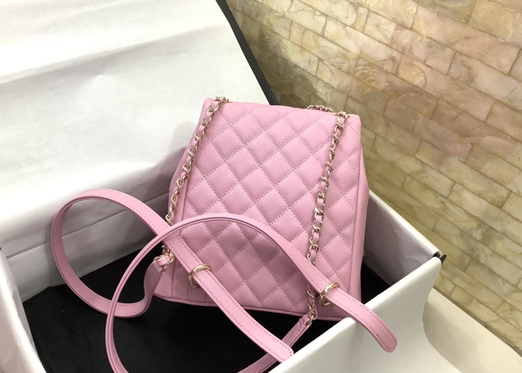 Chanel Duma Backpack Large Pink