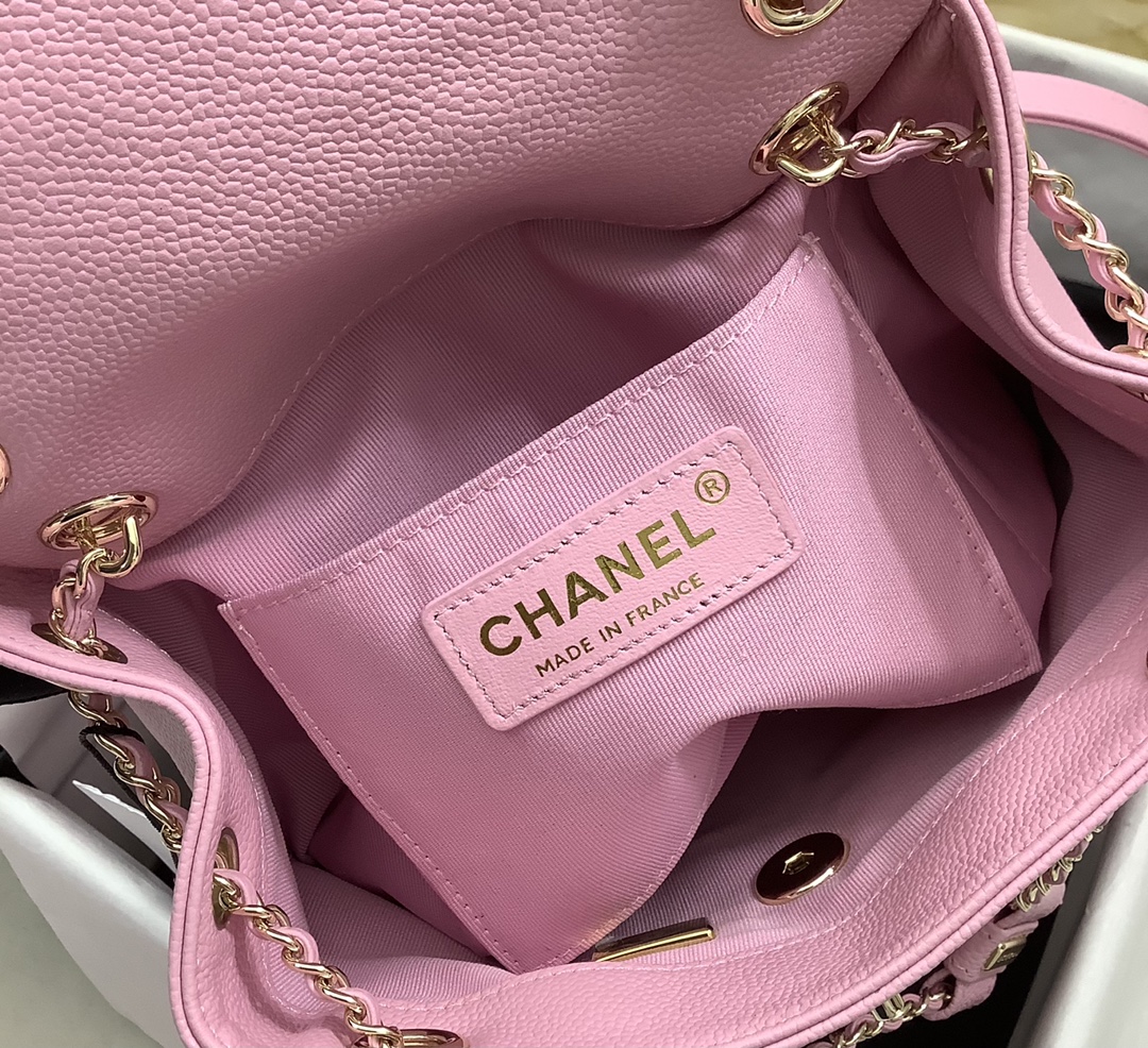 Chanel Duma Backpack Large Pink