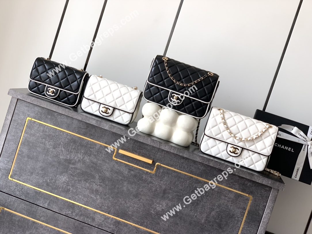Chanel Spring-Summer 2025 New Bag