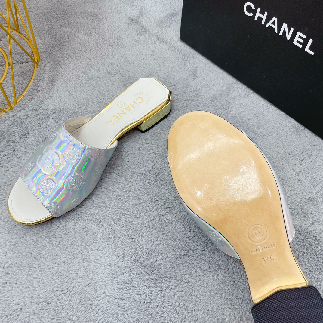 Chanel Women Flat Sandals-0035 35-39