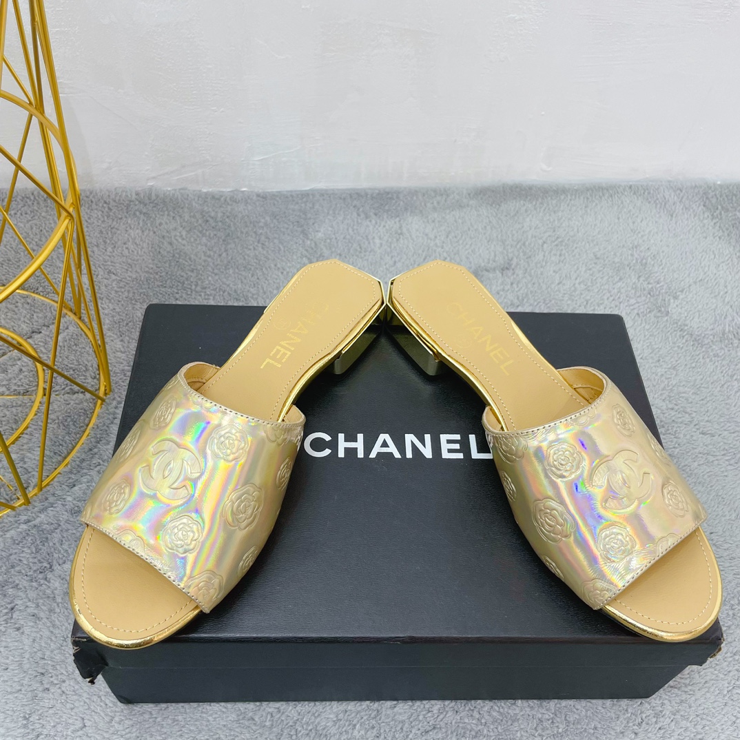 Chanel Women Flat Sandals-0036 35-39